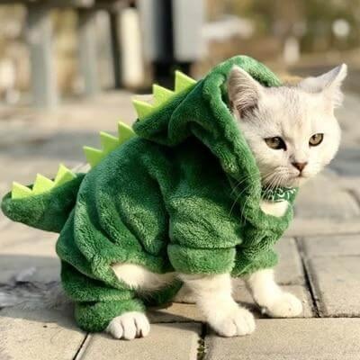Fleece Dinosaur Pet Hoodie Costume for Cats & Dogs